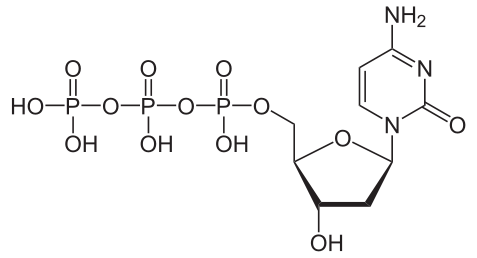 SMOChem™ dCTP Solution - Sodium Salt (100 mM), 25 ml