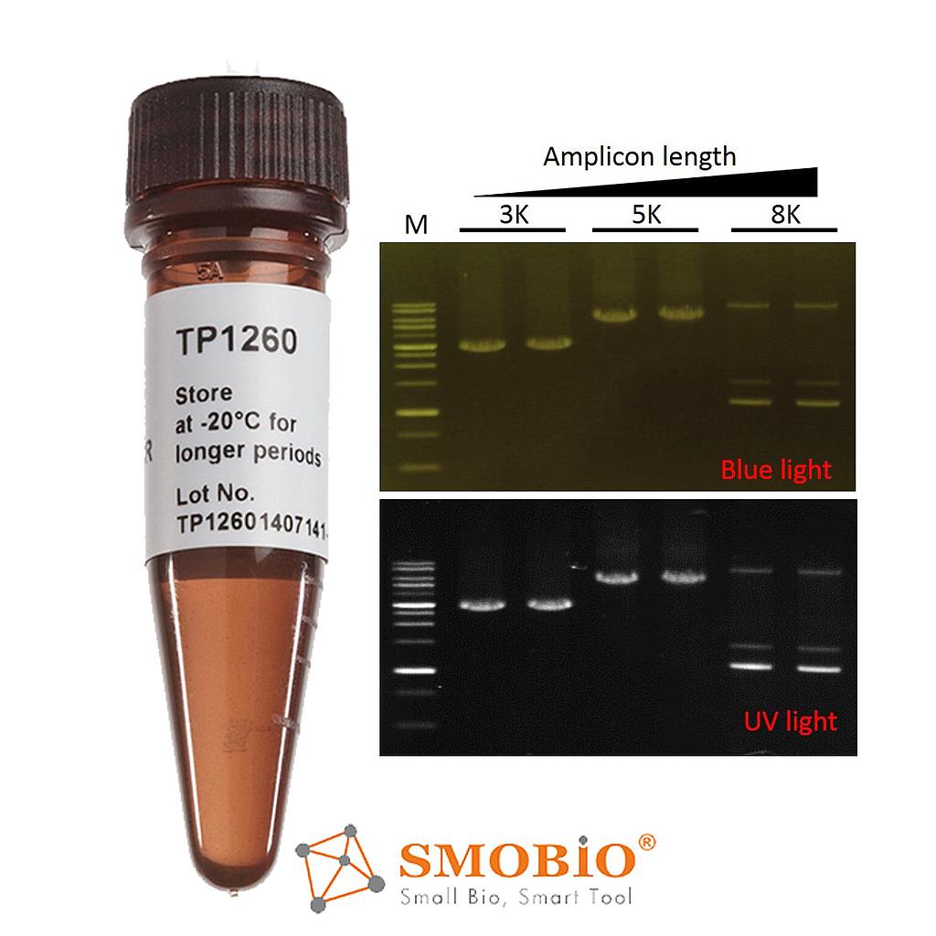 [TP1260] ExcelTaq™ 5X Fluorescent PCR Master Mix, 200 RXN