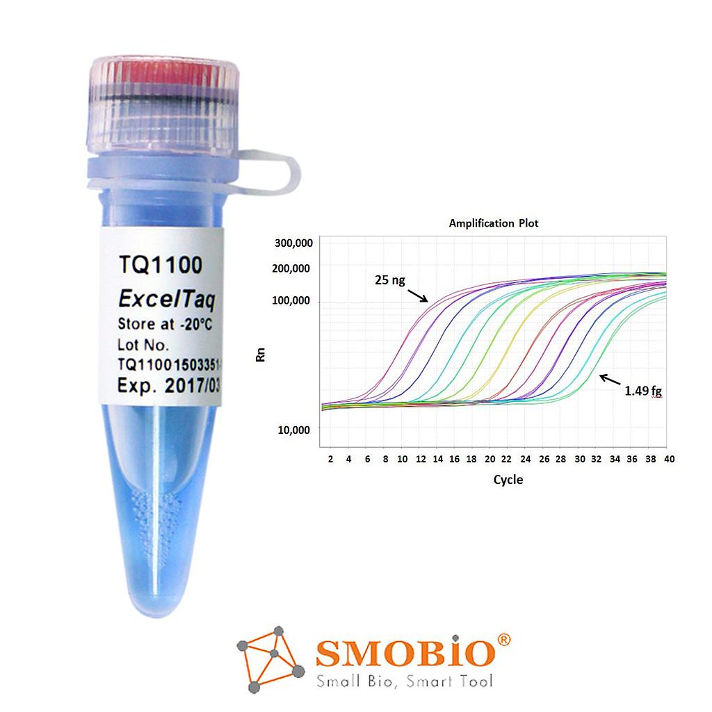 [TQ1101] ExcelTaq™ 2X Q-PCR Master Mix (SYBR, no ROX), 500 RXN
