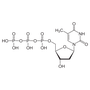 SMOChem™ dTTP solution - Sodium Salt (100 mM), 25 ml